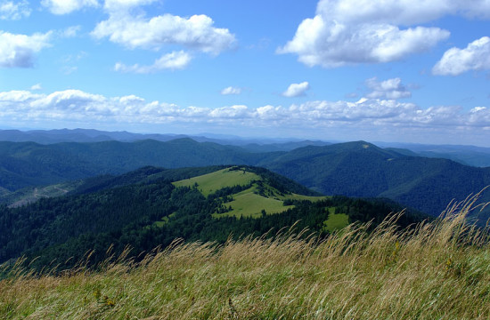 karpaty 7 550x360 Карпаты