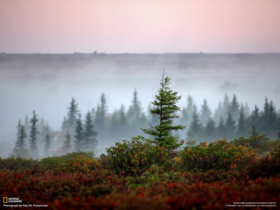 Bear Rocks Preserve Zahidna Virdzhiniya SSHA. Avtor foto Paul M. Provencher 550x413 Живописная природа США