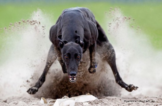 1360501999 sony world photography awards 2013 24 550x362 Конкурс Sony World Photography Awards