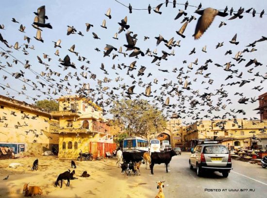 1360502005 sony world photography awards 2013 15 550x407 Конкурс Sony World Photography Awards