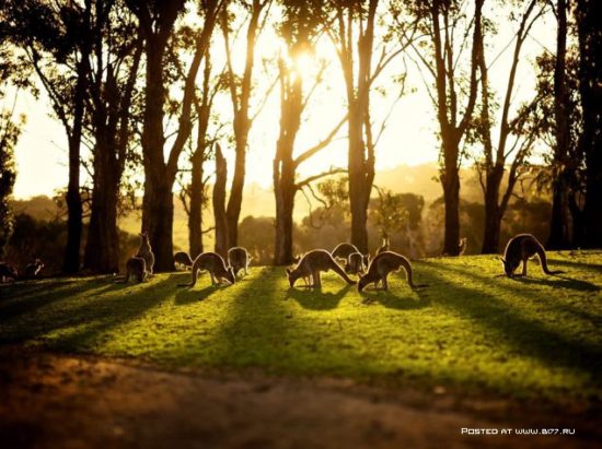 1377536758 national geographic luchshie fotografii 9 550x411 National Geographic подборка фотографий