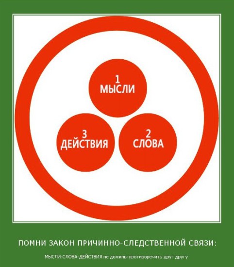 2485 pomni zakon prichinno sledstvennoi sviazi mysli slova deistviia ne doljny protivorechiti drug drugu 482x550 Причинно следственные связи