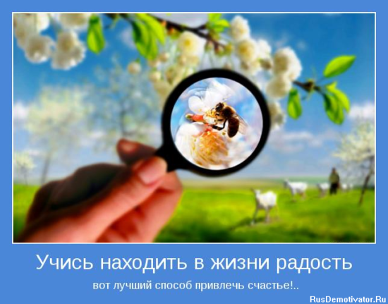 1322418618 motivator 18297 550x431 Радость в жизни