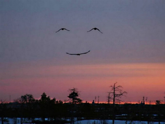 smile post 14 550x415 Улыбка :)