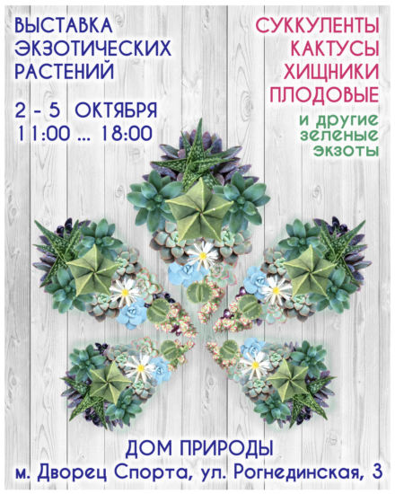 succulent show kiev 1 440x550 Выставка экзотических растений