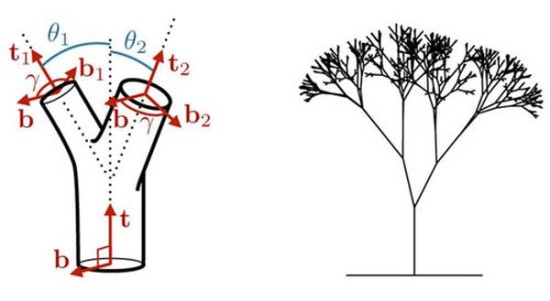 treesleonardo 550x301 Правило Леонардо