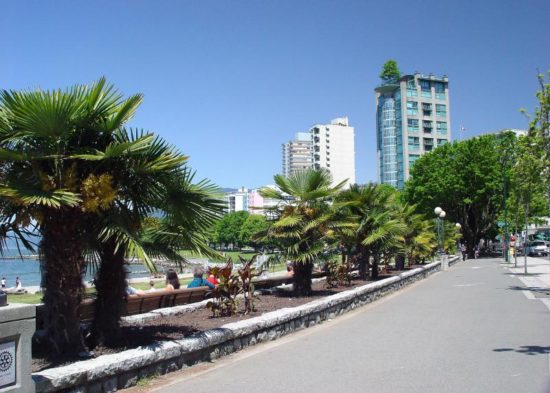 Vancouverpalms 550x393 Ванкувер