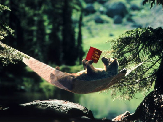 bear reading in wild 550x412 Ужасающая бездуховность