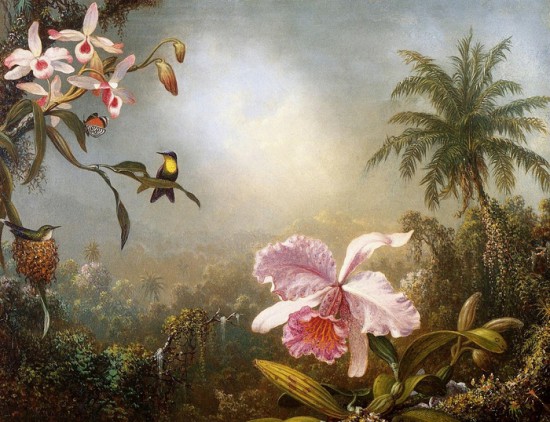 6871283 Orchids Nesting Hummingbirds and a Butterfly  Martin Johnson Heade  1871 550x422 Орхидеи, запечатленные художником