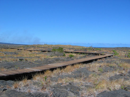 01 puuloa petroglyphs 550x413 Гавайские петроглифы   рисунки на камнях