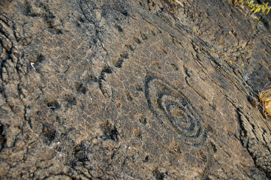 08 puuloa petroglyphs 550x365 Гавайские петроглифы   рисунки на камнях