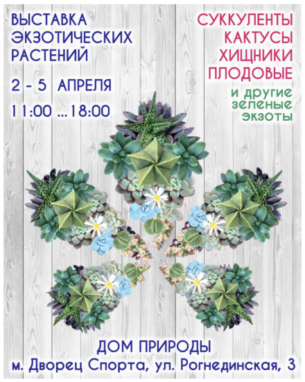 succulent show kiev 2 5aprelia 440x550 Выставка кактусов и других экзотических растений