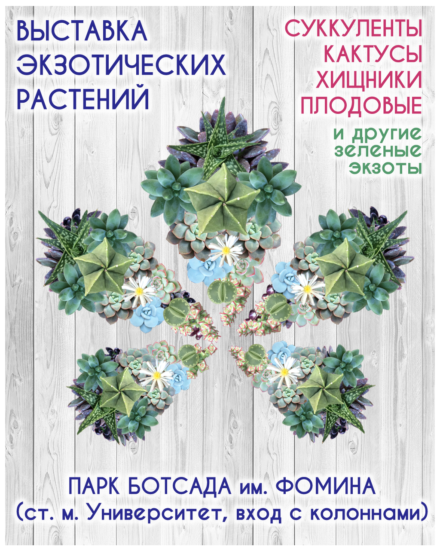 succulent show kiev botsad fomina 440x550 Выставка кактусов