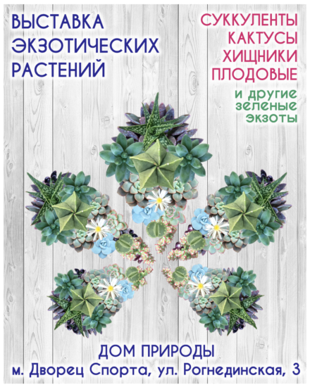 succulent show kiev nodates 440x550 Выставка кактусов 8 11октября