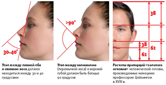 0315 Тело человека и золотое сечение