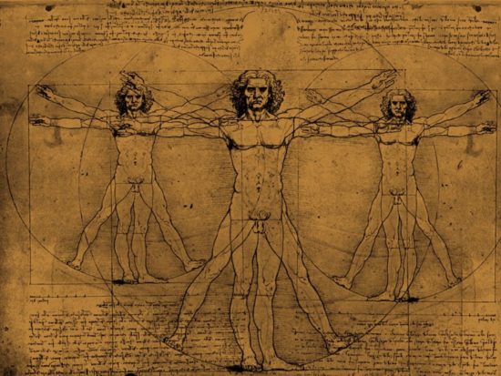 2404 the golden ratio and leonardo da vinci 550x413 Тело человека и золотое сечение