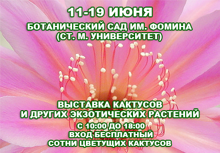 11 19 Выставка кактусов