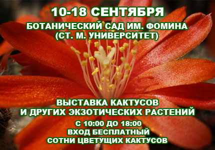 10 18 09cactus Сентябрьская выставка кактусов