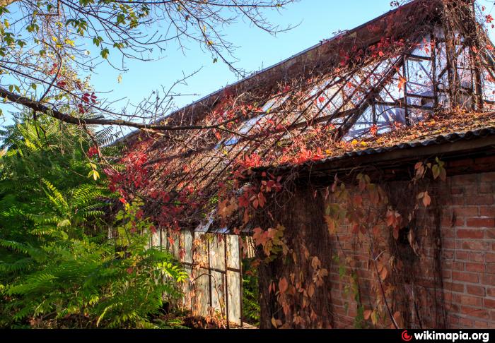 Ботанический Сад Ростов Фото