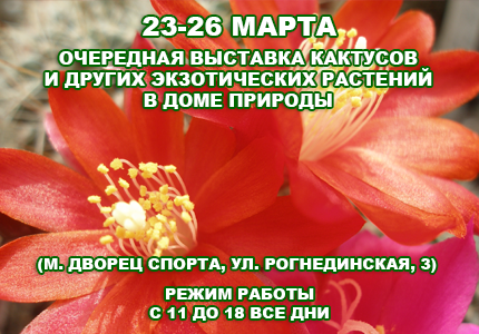 23 26 Весенняя выставка кактусов в Доме природы 2017