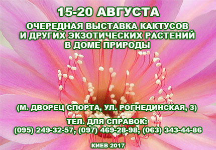 15 20 08 Выставка кактусов 15 20 августа