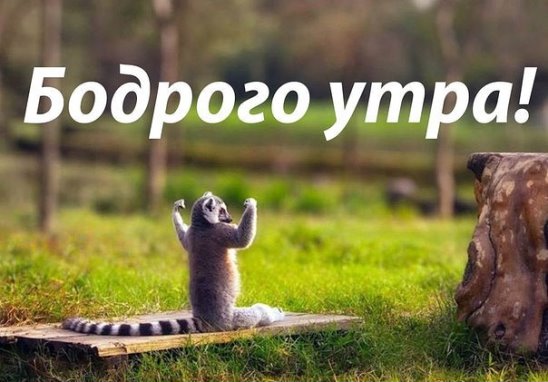 image Утро для сна или для себя?