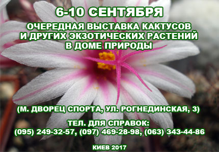 6 10 09 Выставка кактусов 6 10 сентября