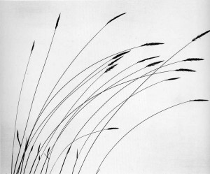 ©%20Andreas%20Feininger Галерея