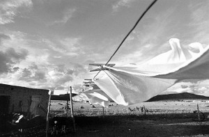©%20Larry%20Towell Галерея
