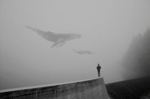 ©%20Martin%20Vlach Галерея