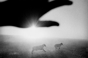 ©%20Matt%20Black Галерея