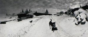 ©%20Pentti%20Sammallahti Галерея