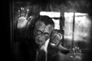©%20Sandra%20Štimac Галерея