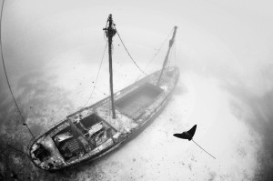 ©%20Douglas%20Hoffman Галерея