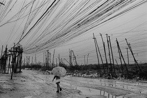 ©%20Lalo%20De%20Almeida Галерея