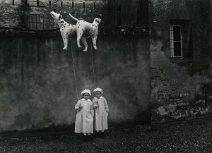 ©%20Mario%20Lasalandra Галерея